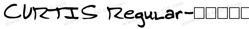 CURTIS Regular字体转换